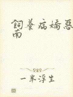 饲养病娇恶龙指南