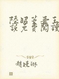 陆昭菱晋王的小说免费阅读