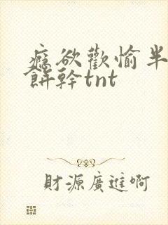 瘾欲欢愉半块小饼干tnt