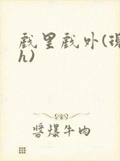 戏里戏外(现场h)