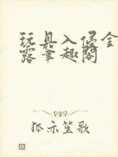 玩具入侵金银花露笔趣阁