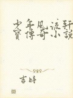 少年风流轩辕大宝传奇小说