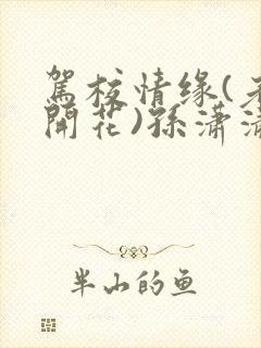 驾校情缘(老树开花)孙潇潇笔趣阁