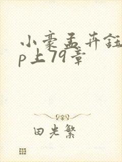 小豪孟卉钰慧三p上79章