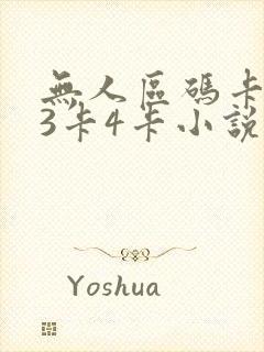 无人区码卡二卡3卡4卡小说