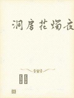洞房花烛夜小说