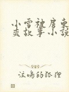 小雪被房东的好爽故事小说