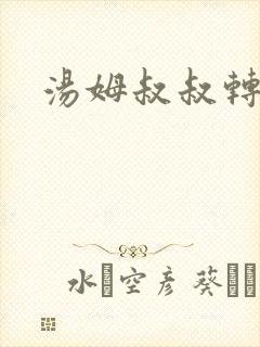 汤姆叔叔转接口