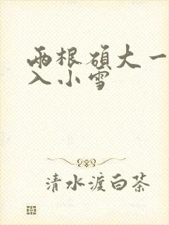 两根硕大一起挤入小雪