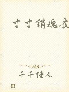 寸寸销魂夜春光