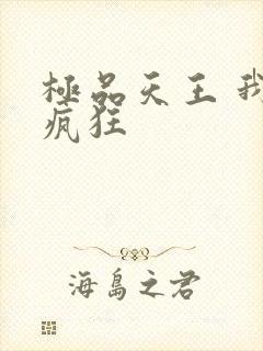 极品天王 我本疯狂