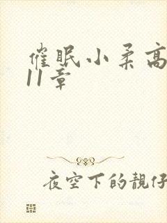 催眠小柔高达第11章