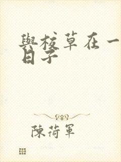 与校草在一起的日子