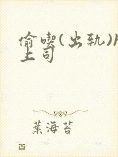 偷吃(出轨)h上司