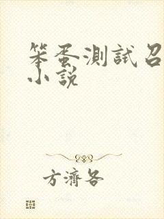 笨蛋测试召唤兽小说