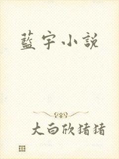 蓝宇小说