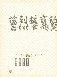 捡到校霸的遥控器txt笔趣阁