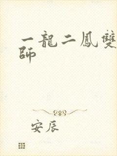 一龙二凤双飞老师