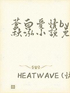 苍白爱情by三秋泓小说免费阅读笔趣阁