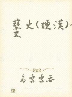 孽火(硬汉)今又