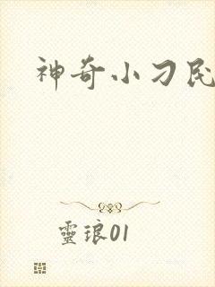 神奇小刁民