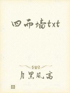 四面墙txt