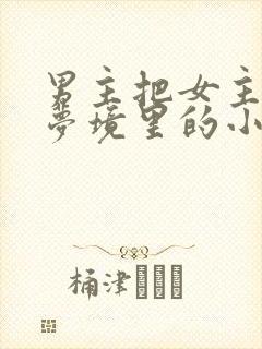 男主把女主拖进梦境里的小说