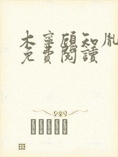 木宁顾知胤小说免费阅读