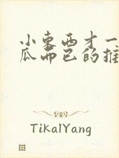 小东西才一根黄瓜而已的推荐书