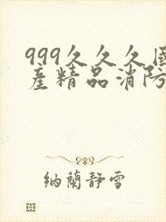 999久久久国产精品消防器材