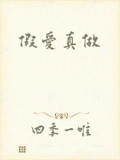 假爱真做