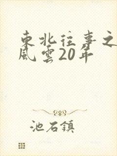 东北往事之黑道风云20年