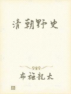 清朝野史
