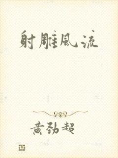 射雕风流