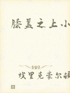 膝盖之上小说
