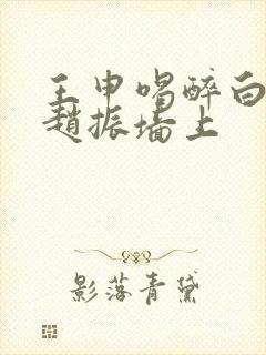 王申喝醉白洁被赵振墙上