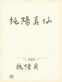 纯阳真仙