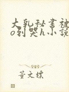 大乳秘书被cao到哭h小说