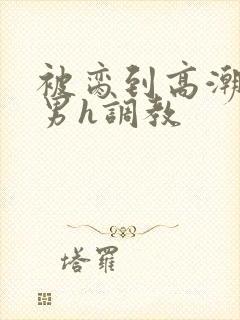 被脔到高潮的直男h调教