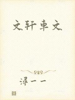 文轩车文