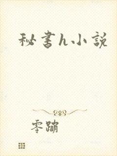 秘书h小说