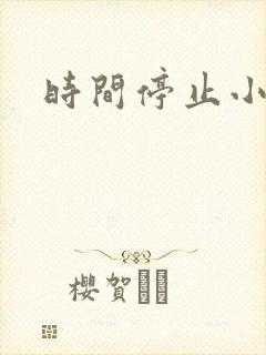 时间停止小说