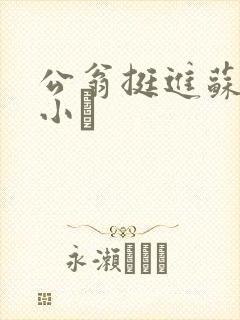 公翁挺进苏玥的小泬
