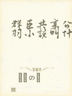 群臣共享公主银羽小说叫什么