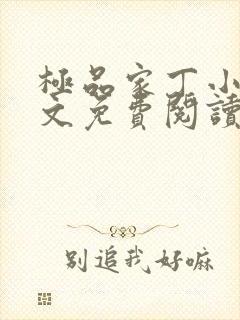 极品家丁小说全文免费阅读