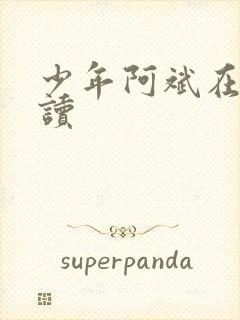 少年阿斌在线阅读