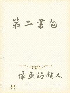 第二书包