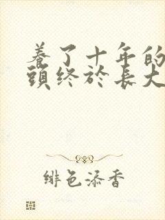 养了十年的小丫头终于长大了