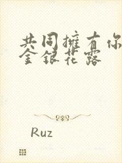 共同拥有你by金银花露