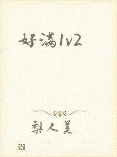 好满1v2